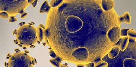 Coronavirus