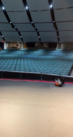 The view from the new and improved PAC stage. 